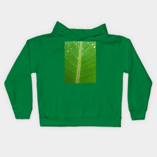 Green banana leaf vein with raindrops Kids Hoodie